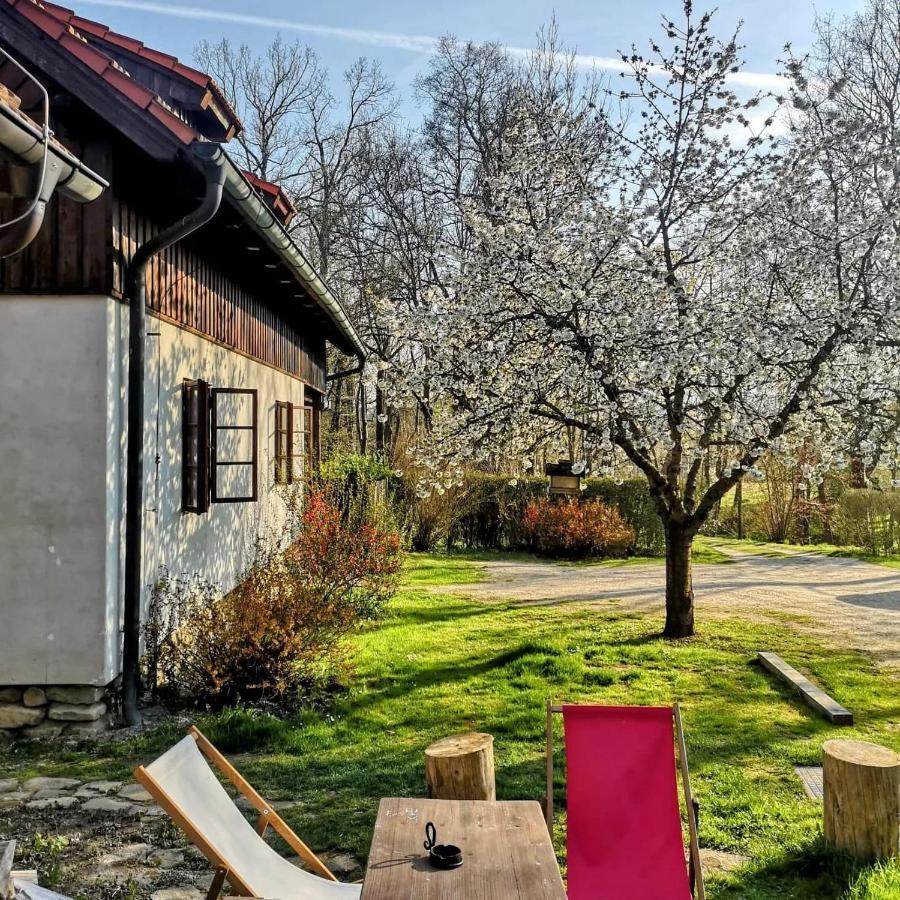 Apartmany Cerveny Dvur Chvalšiny Екстериор снимка